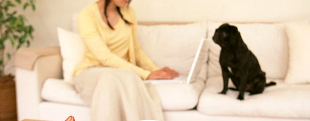 WEBの使用などについての